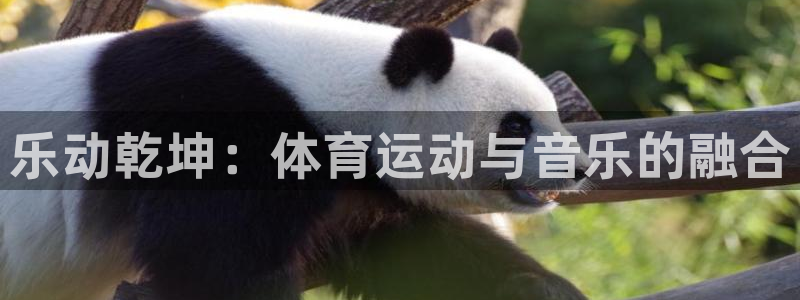 一竞技官方正版app娱乐首页网站大全：乐动乾坤：体育