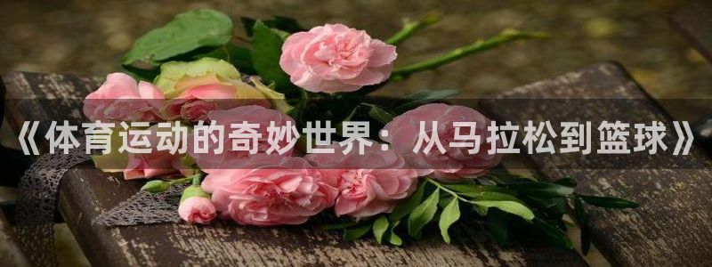 一竞技官网下载招商电话地址查询：《体育运动的奇妙世界