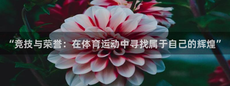 一竞技官网下载平台APP：“竞技与荣誉：在体育运动中