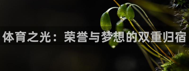 一竞技官网下载招商电话：体育之光：荣誉与梦想的双重归
