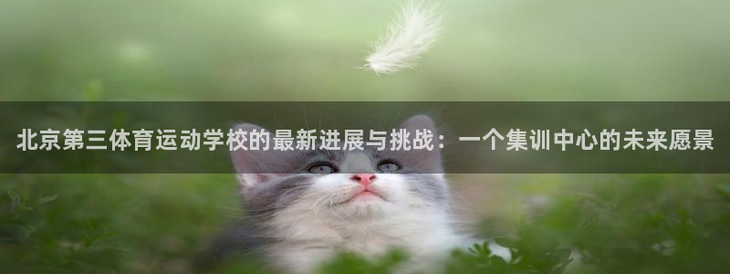 一竞技官网下载平台是正规平台吗：北京第三体育运动学校