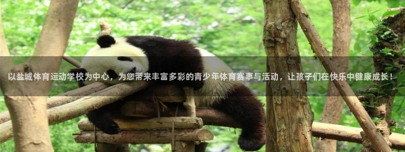 一竞技官方正版app集团：以盐城体育运动学校为中心，