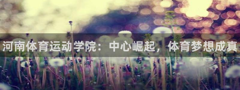 一竞技官方正版app神州：河南体育运动学院：中心崛起