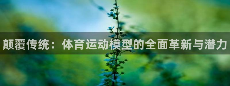 一竞技官方正版app集团官网网址：颠覆传统：体育运动