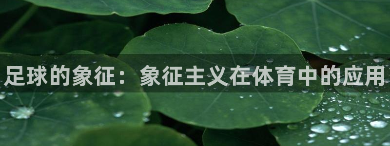 一竞技官方正版app开户：足球的象征：象征主义在体育