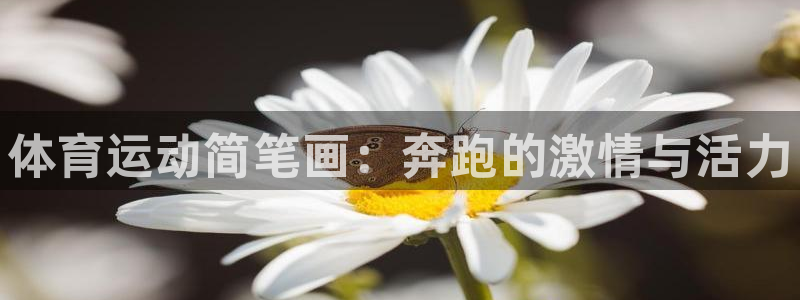 一竞技官方正版app集团官网首页网址：体育运动简笔画