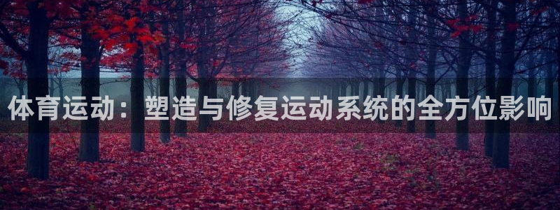 一竞技官网下载平台APP：体育运动：塑造与修复运动系统的全方