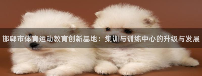 海南一竞技官网下载发展怎么样：邯郸市体育运动教育创新基地：集