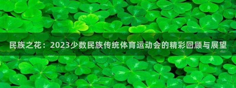一竞技官网下载招商：民族之花：2023少数民族传统体