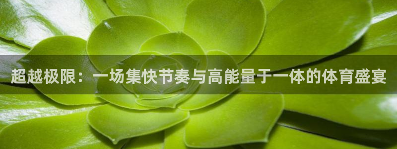 一竞技官网下载注册：超越极限：一场集快节奏与高能量于一体的体