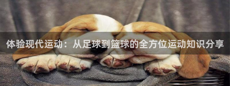 一竞技官方正版app娱乐代理怎么样