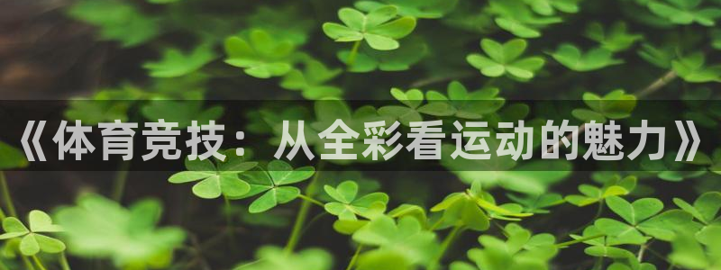一竞技官网下载平台是正规平台吗安全吗：《体育竞技：从全彩看运