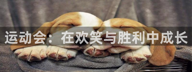 一竞技官方正版app五金厂