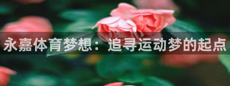 一竞技官网下载平台假的吗是真的吗：永嘉体育梦想：追寻