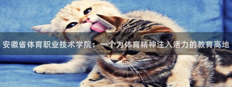 一竞技官网下载平台是正规平台吗安全吗：安徽省体育职业技术学院