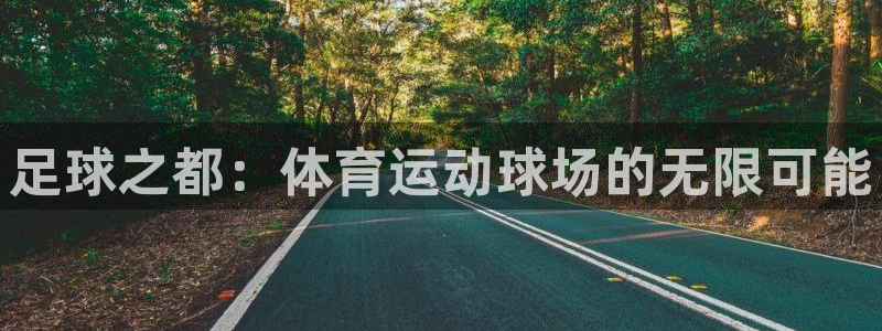 一竞技官网下载平台注册流程视频：足球之都：体育运动球