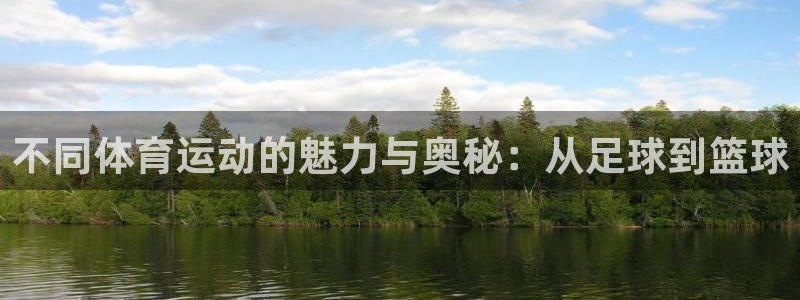 一竞技官网下载官方客服电话：不同体育运动的魅力与奥秘