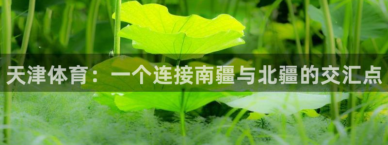 一竞技官网下载招商电话号码查询是多少：天津体育：一个连接南疆
