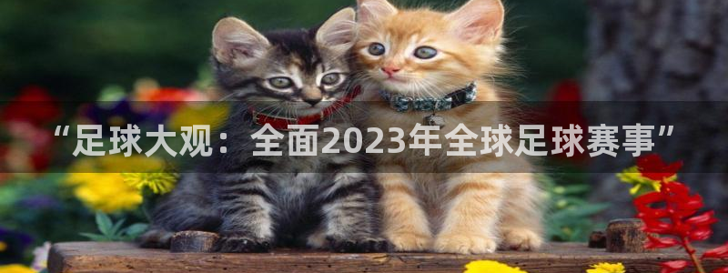一竞技官网下载平台注册：“足球大观：全面2023年全