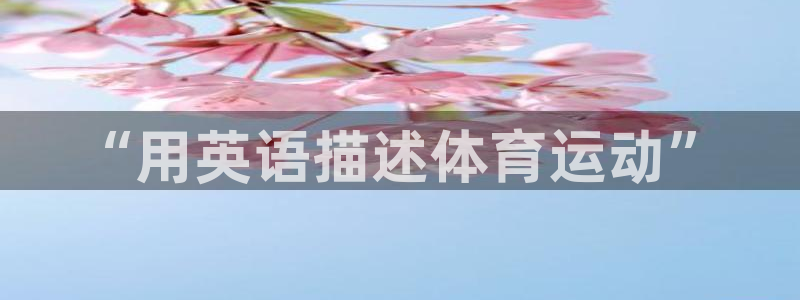 一竞技官方正版app集团官网首页