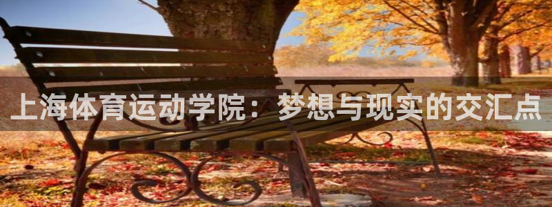 一竞技官方正版app集团官网网址