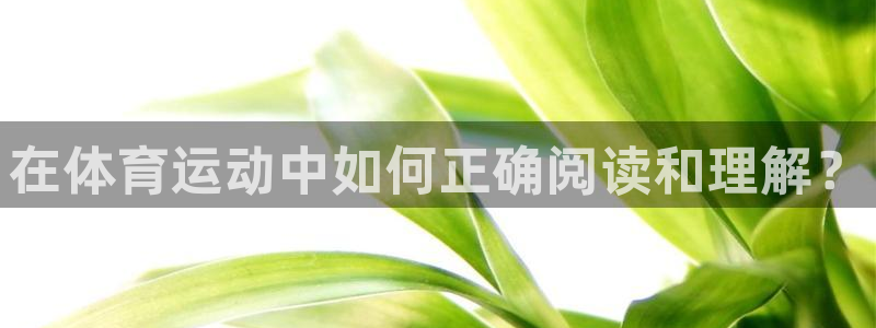 一竞技官方正版app集团简介