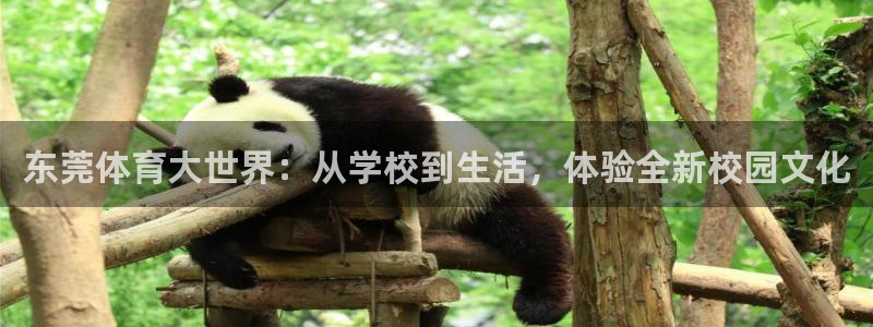 一竞技官网下载平台APP